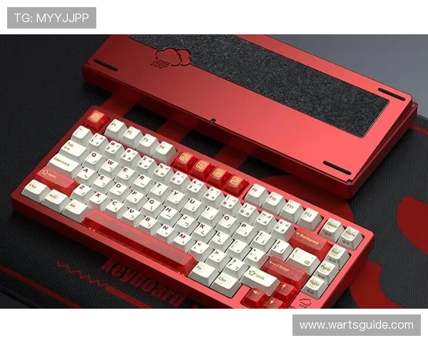 在ttc键盘官网上找到适合游戏玩家的高性能机械键盘，提升你的游戏体验